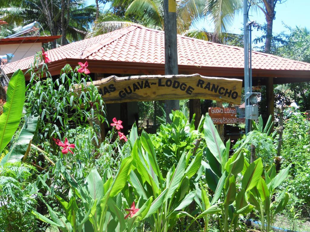 Guava Lodge Playa Matapalo Zewnętrze zdjęcie
