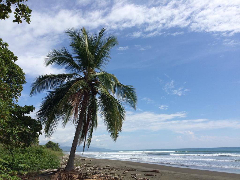 Guava Lodge Playa Matapalo Zewnętrze zdjęcie