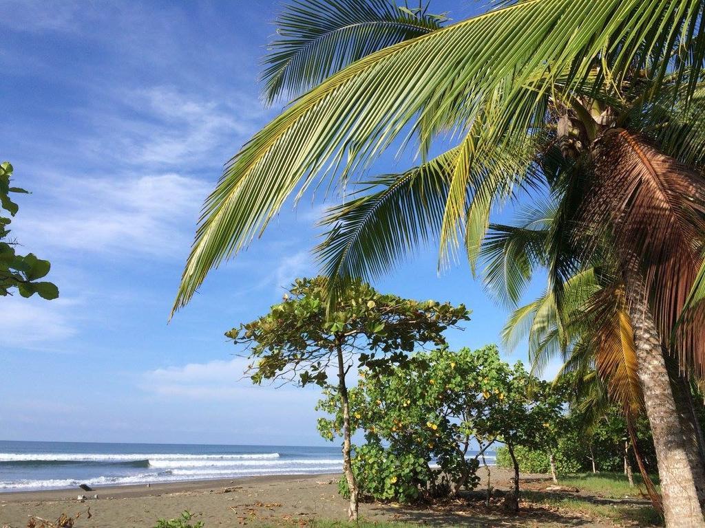 Guava Lodge Playa Matapalo Zewnętrze zdjęcie