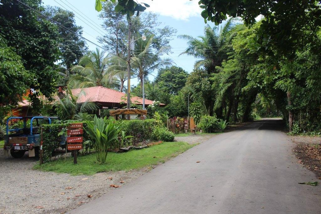 Guava Lodge Playa Matapalo Zewnętrze zdjęcie