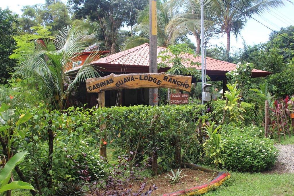 Guava Lodge Playa Matapalo Zewnętrze zdjęcie